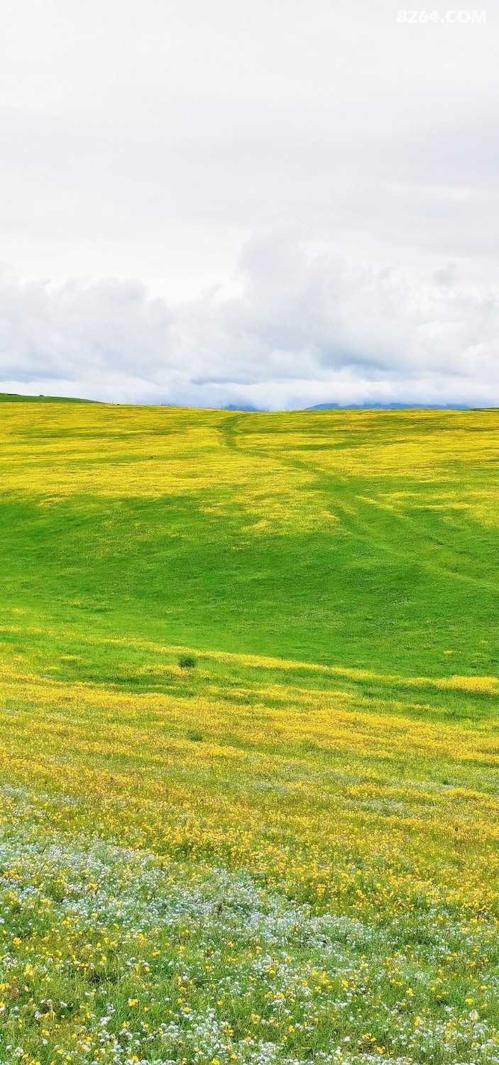 retouch_2024052523231796.jpg