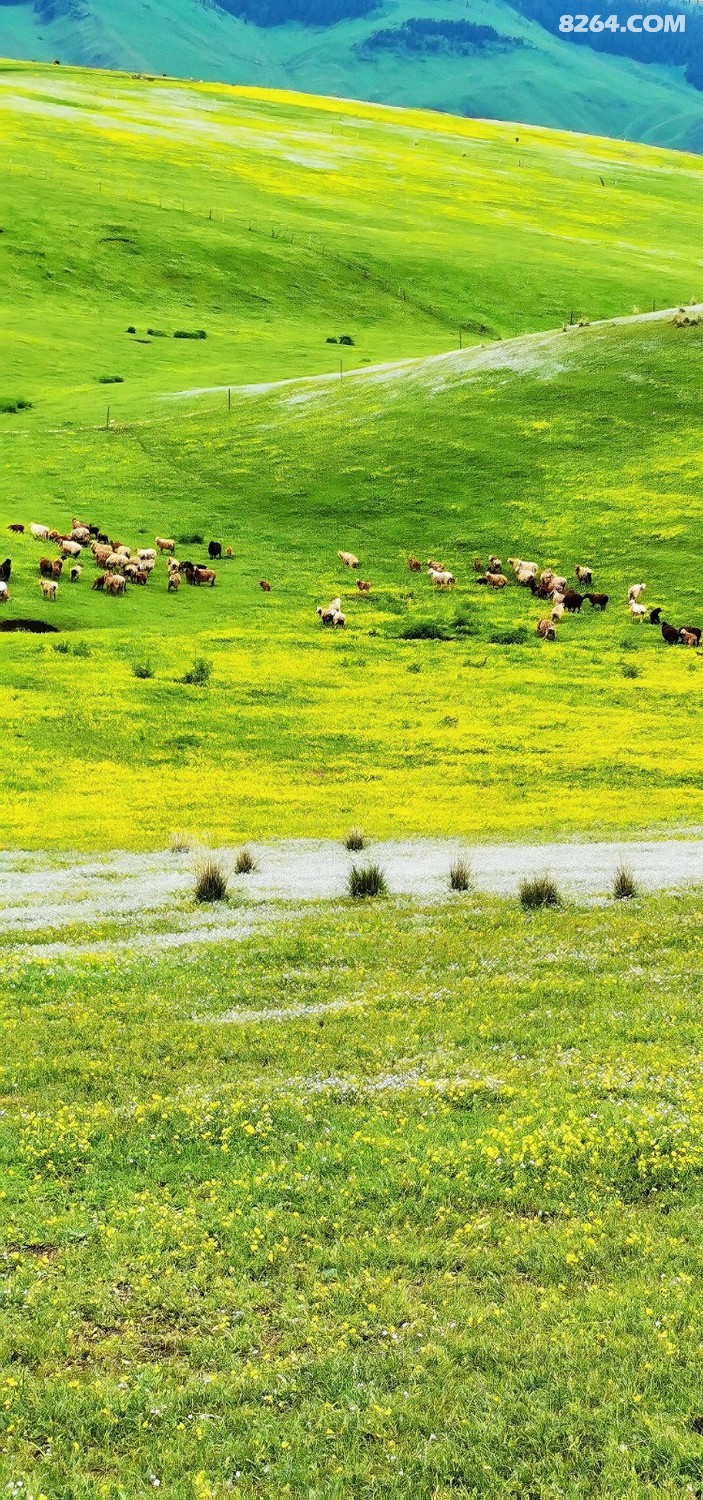 retouch_2024052523300698.jpg