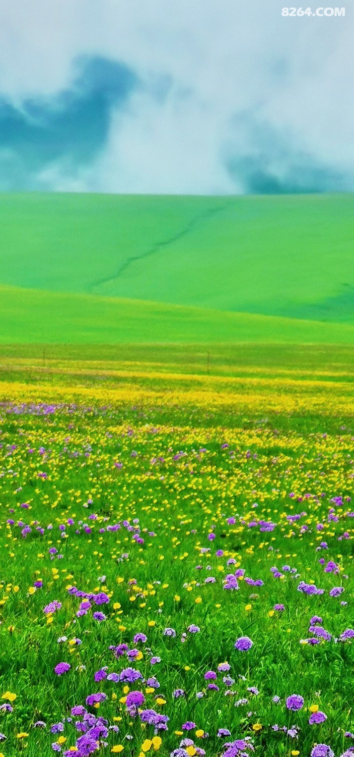retouch_2024052618490262.jpg