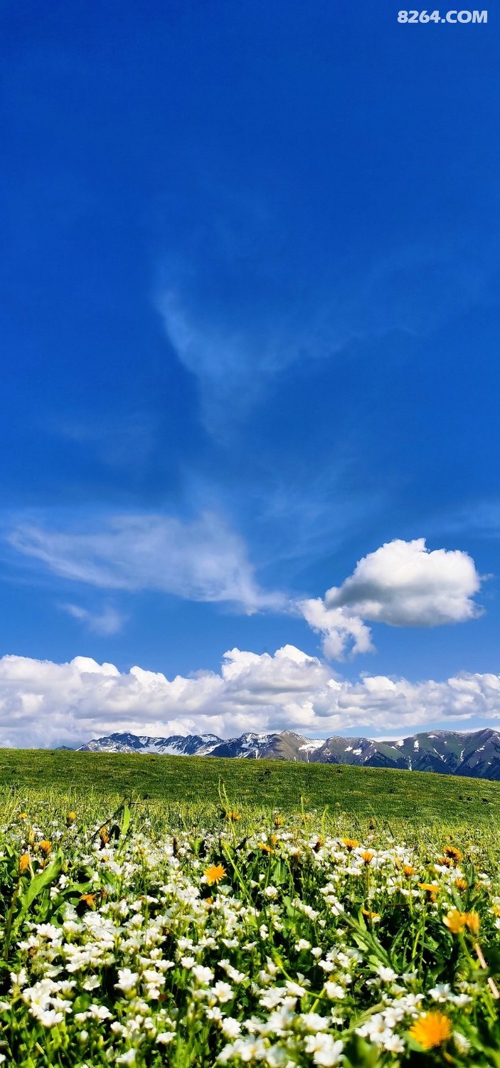 retouch_2024052823235516.jpg