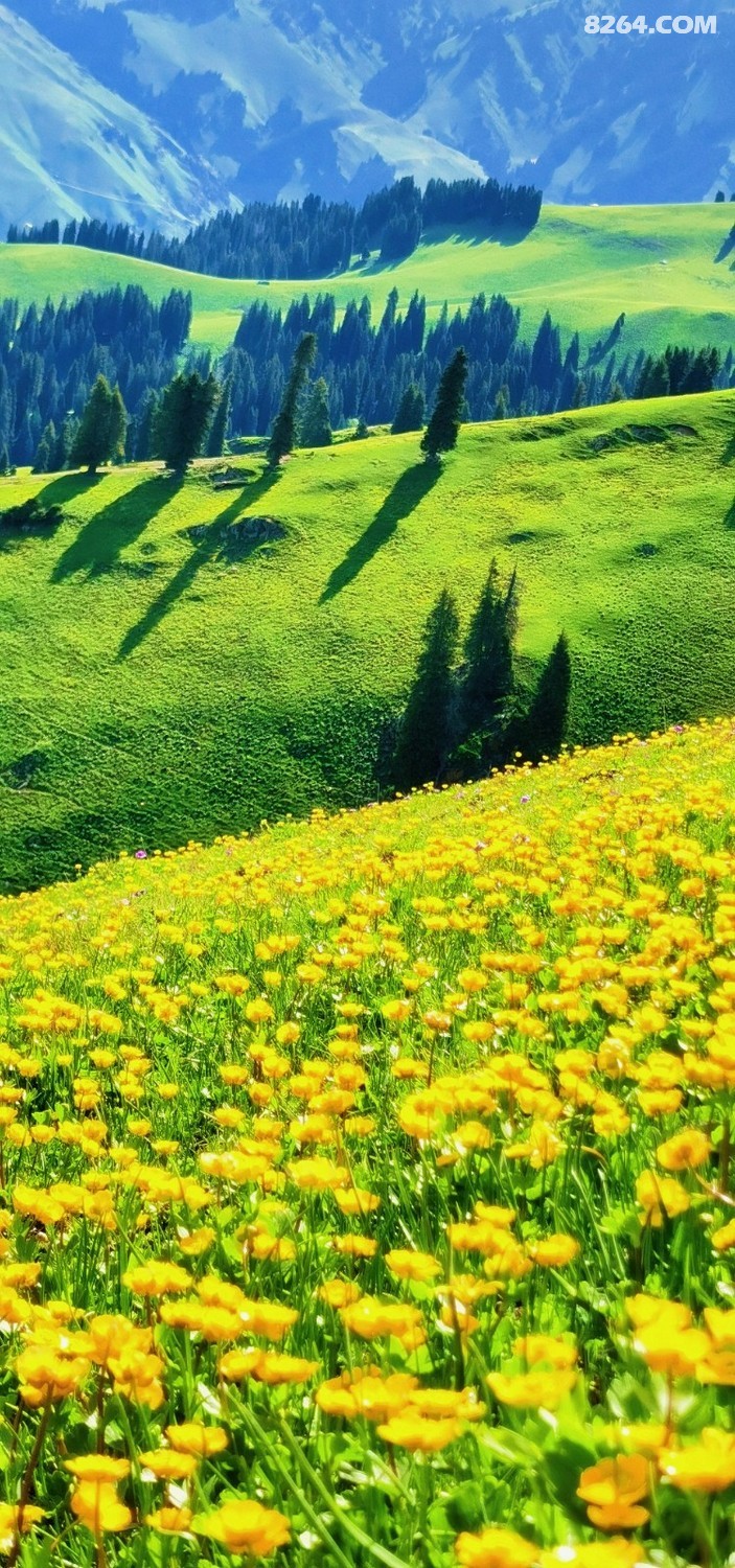 retouch_2024060400143416.jpg
