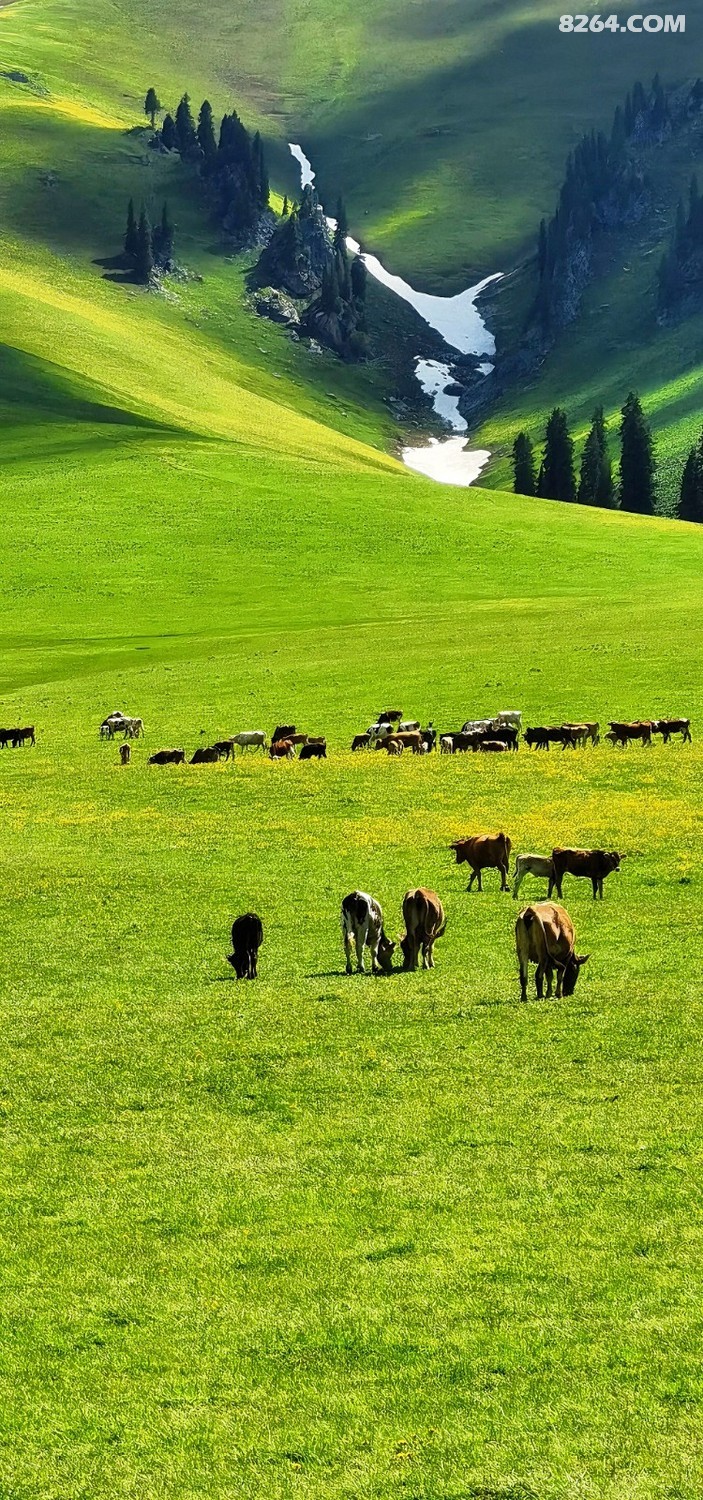 retouch_2024060401101561.jpg