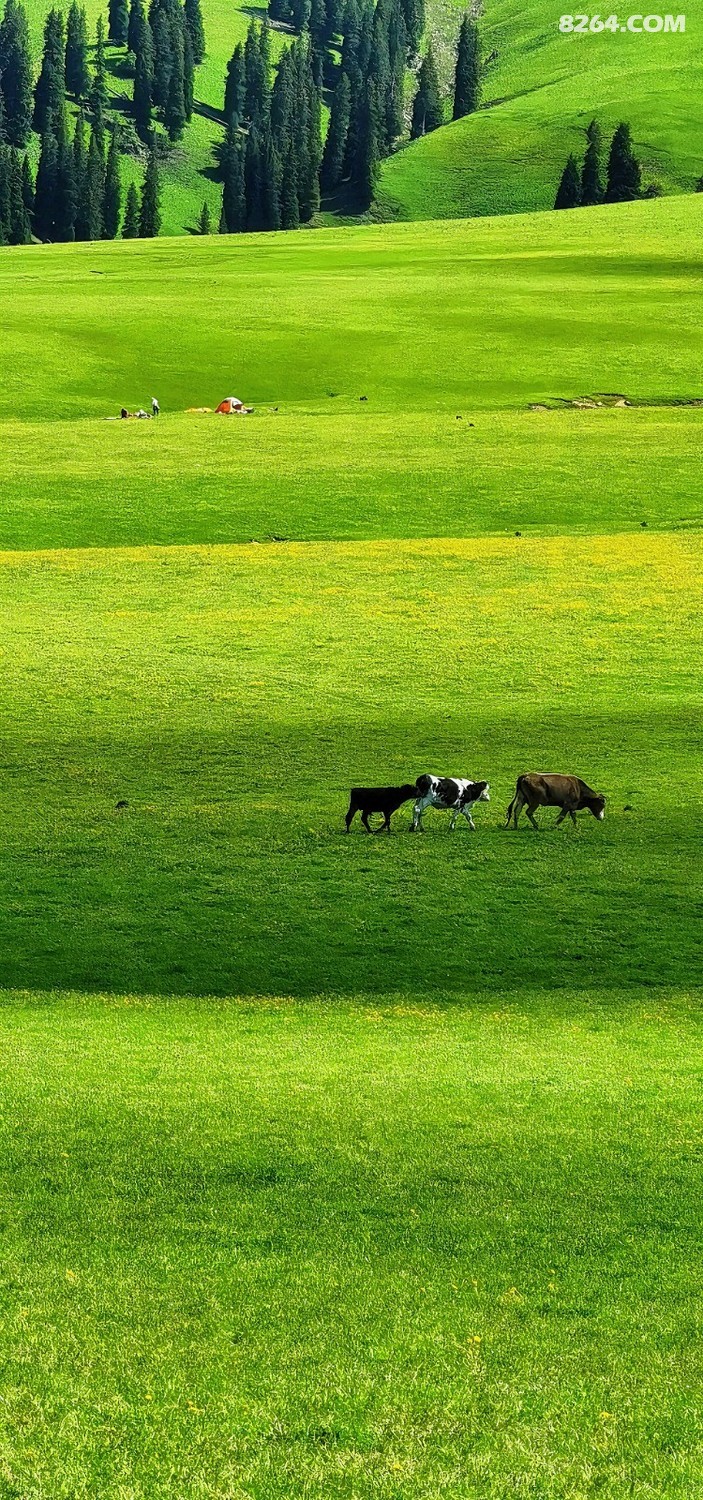 retouch_2024060401112759.jpg