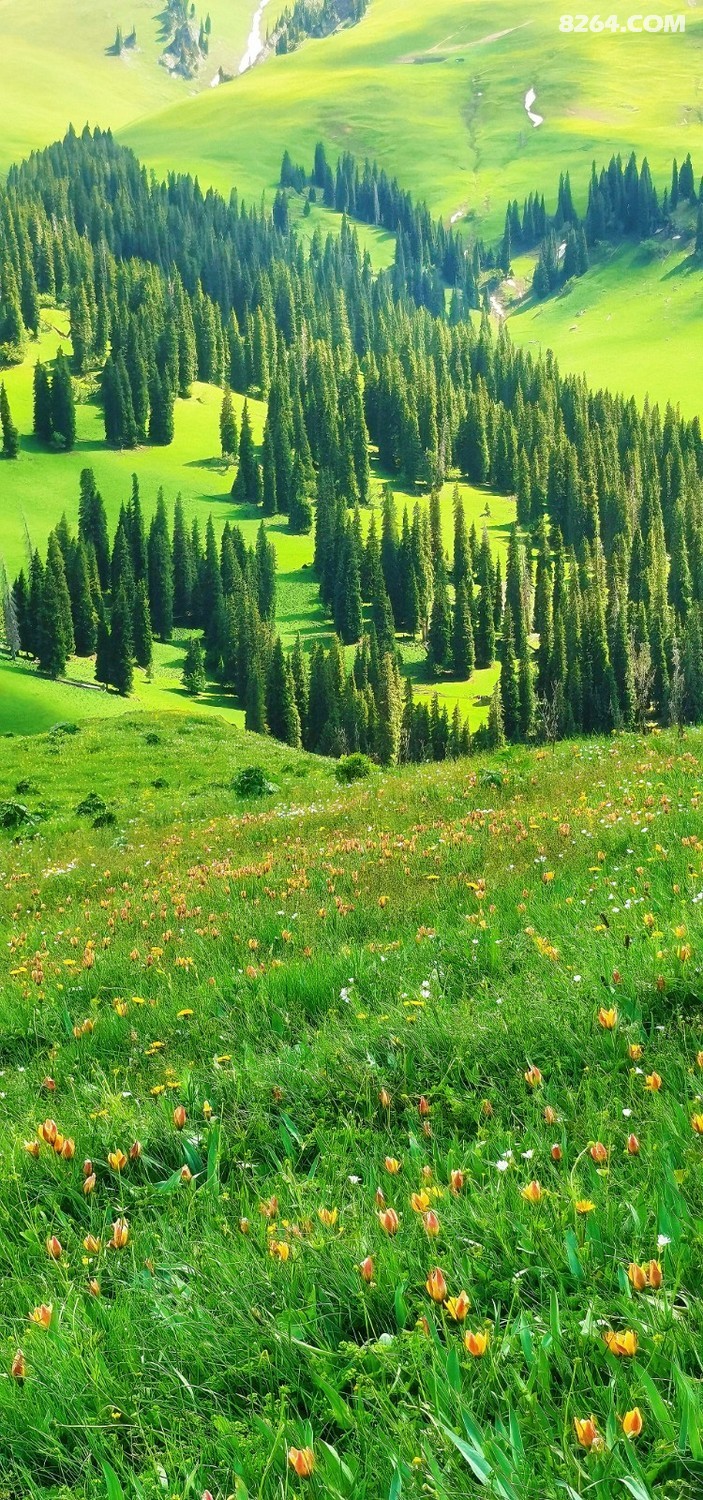retouch_2024060401145159.jpg