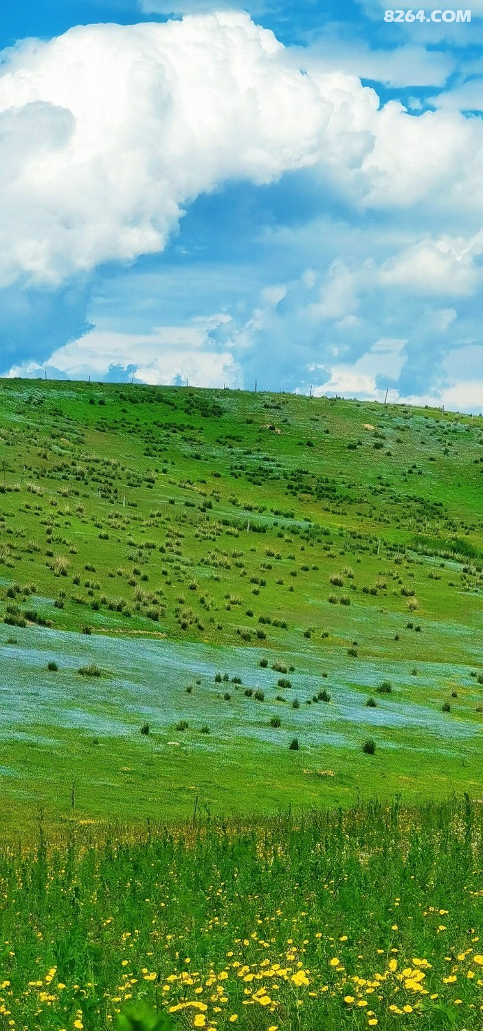 retouch_2024061319363983.jpg