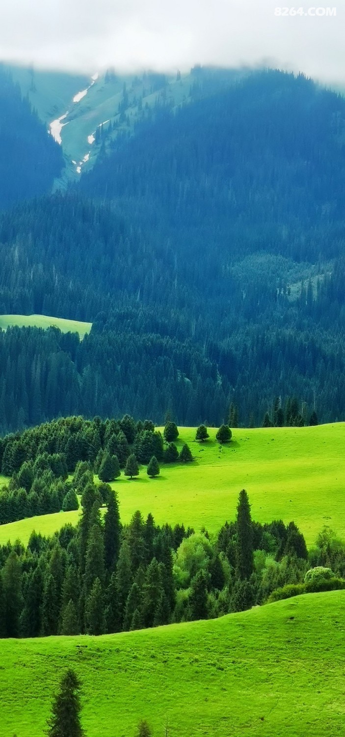 retouch_2024062015283911.jpg