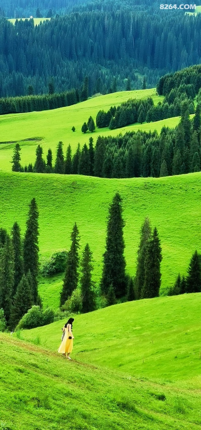retouch_2024062015261136.jpg