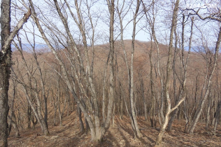 IMG_6716.jpg