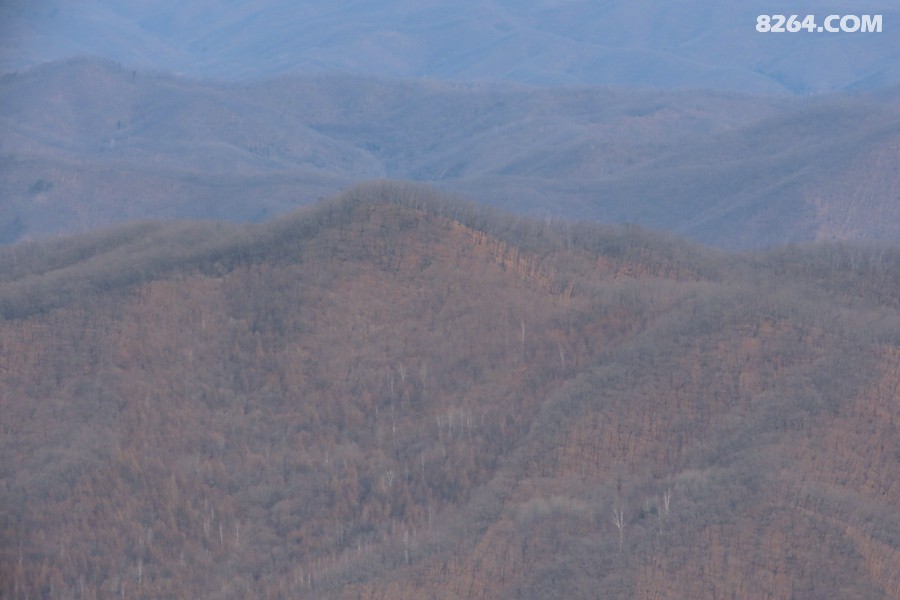 IMG_6740.jpg