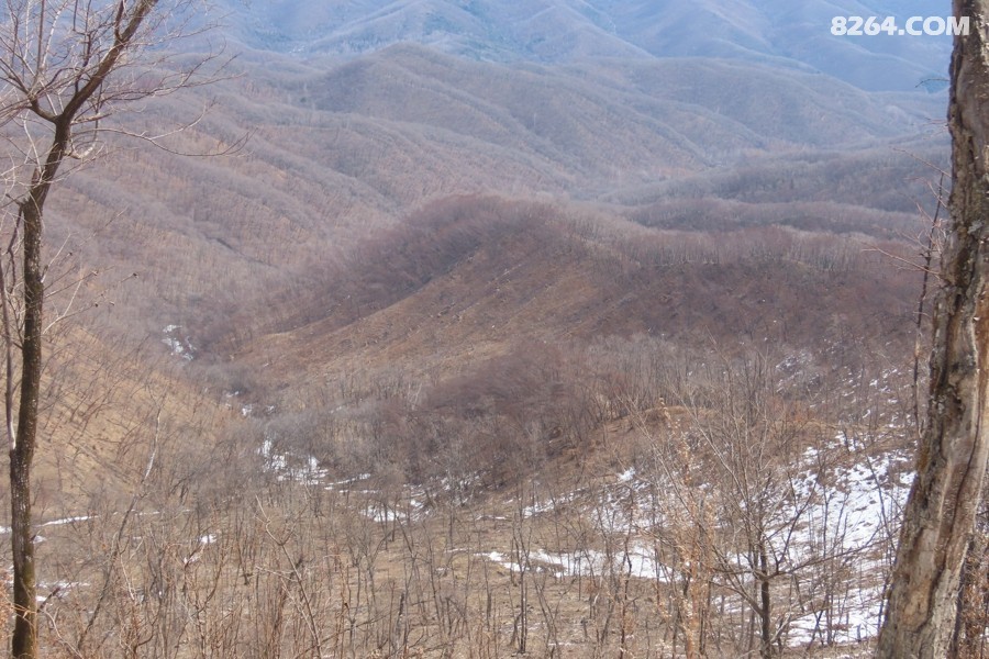 IMG_6742.jpg