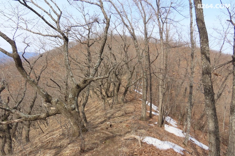 IMG_6753.jpg