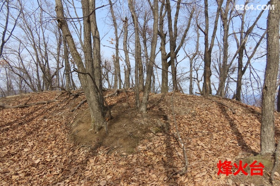 IMG_6763.jpg