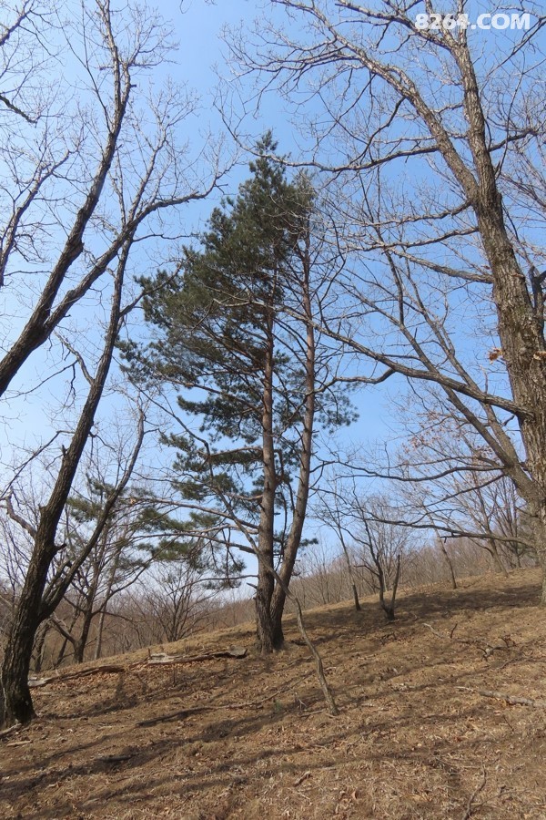 IMG_6785.jpg