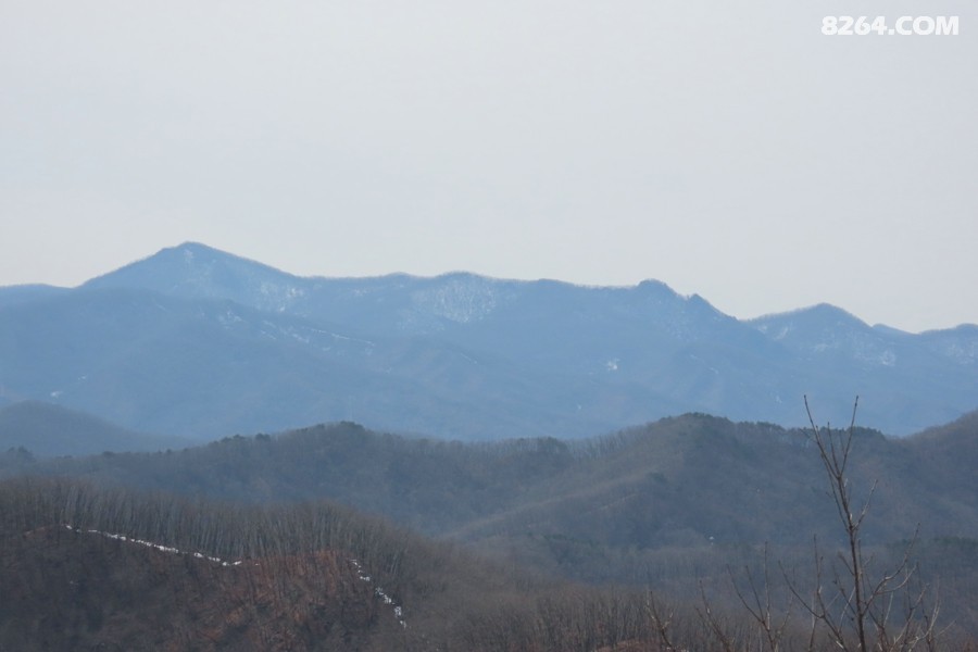 IMG_6792.jpg