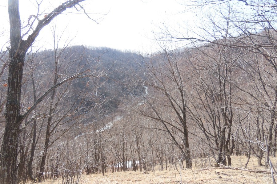 IMG_6831.jpg