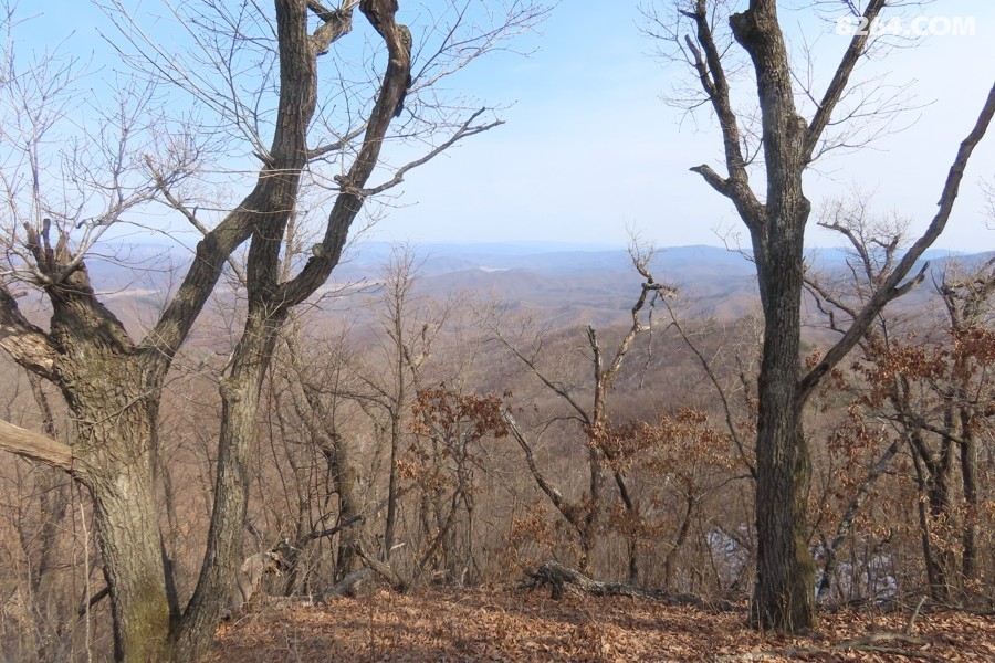 IMG_6847.jpg