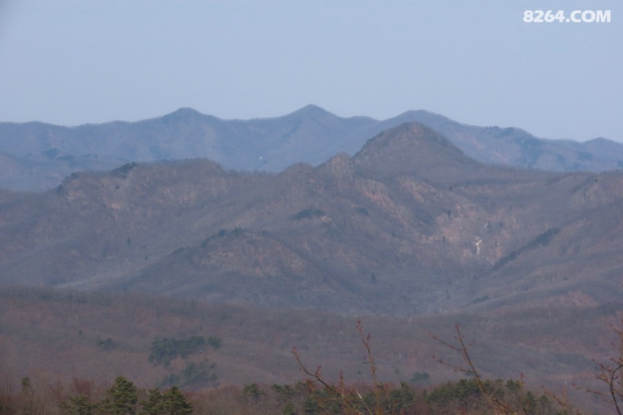 IMG_6853.jpg