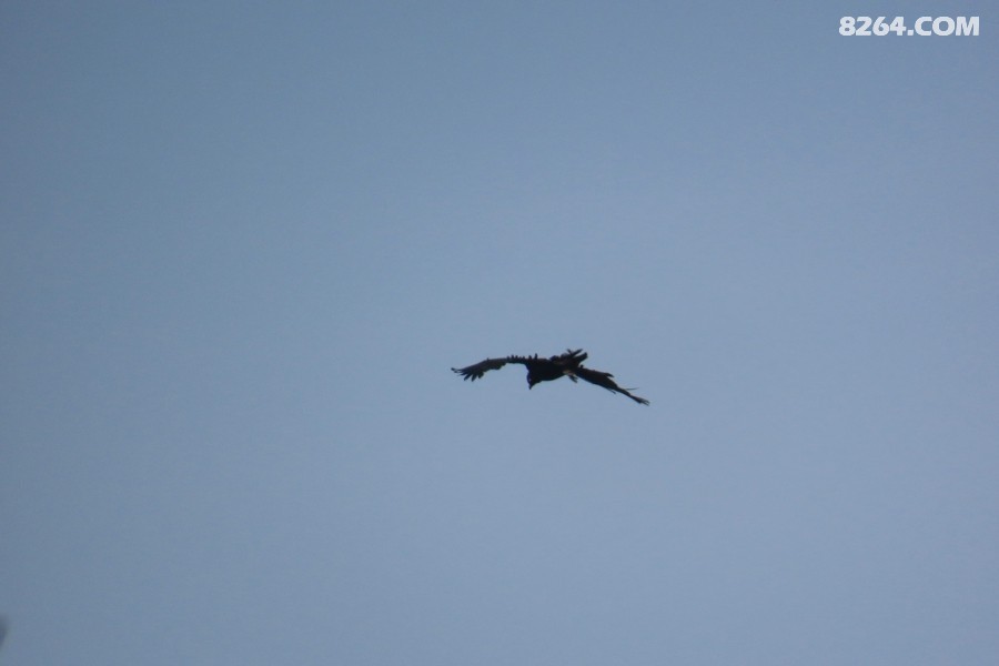 IMG_6861.jpg