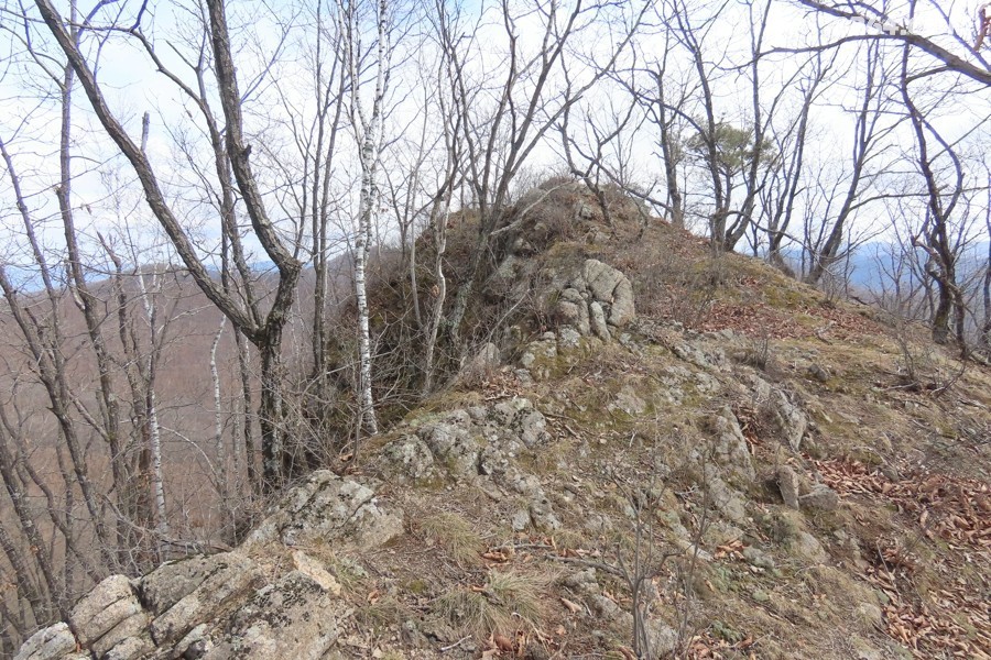 IMG_7027.jpg
