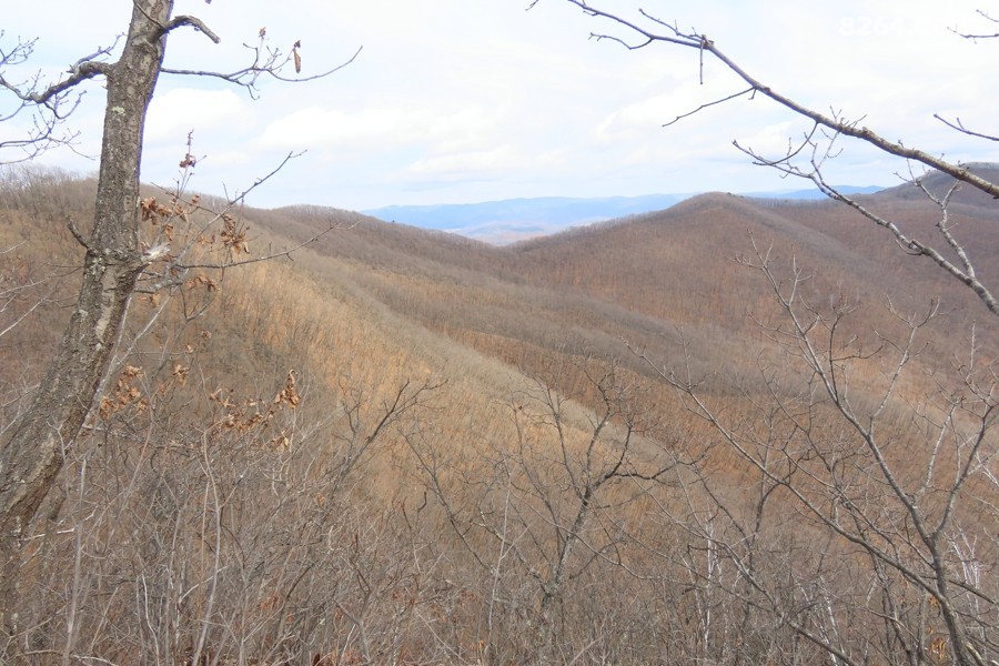 IMG_7029.jpg