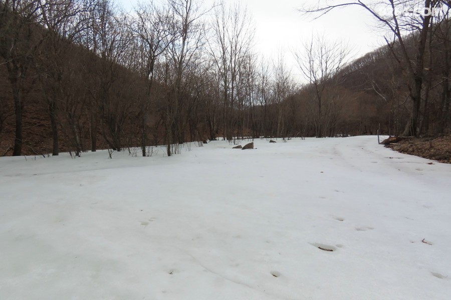 IMG_7063.jpg
