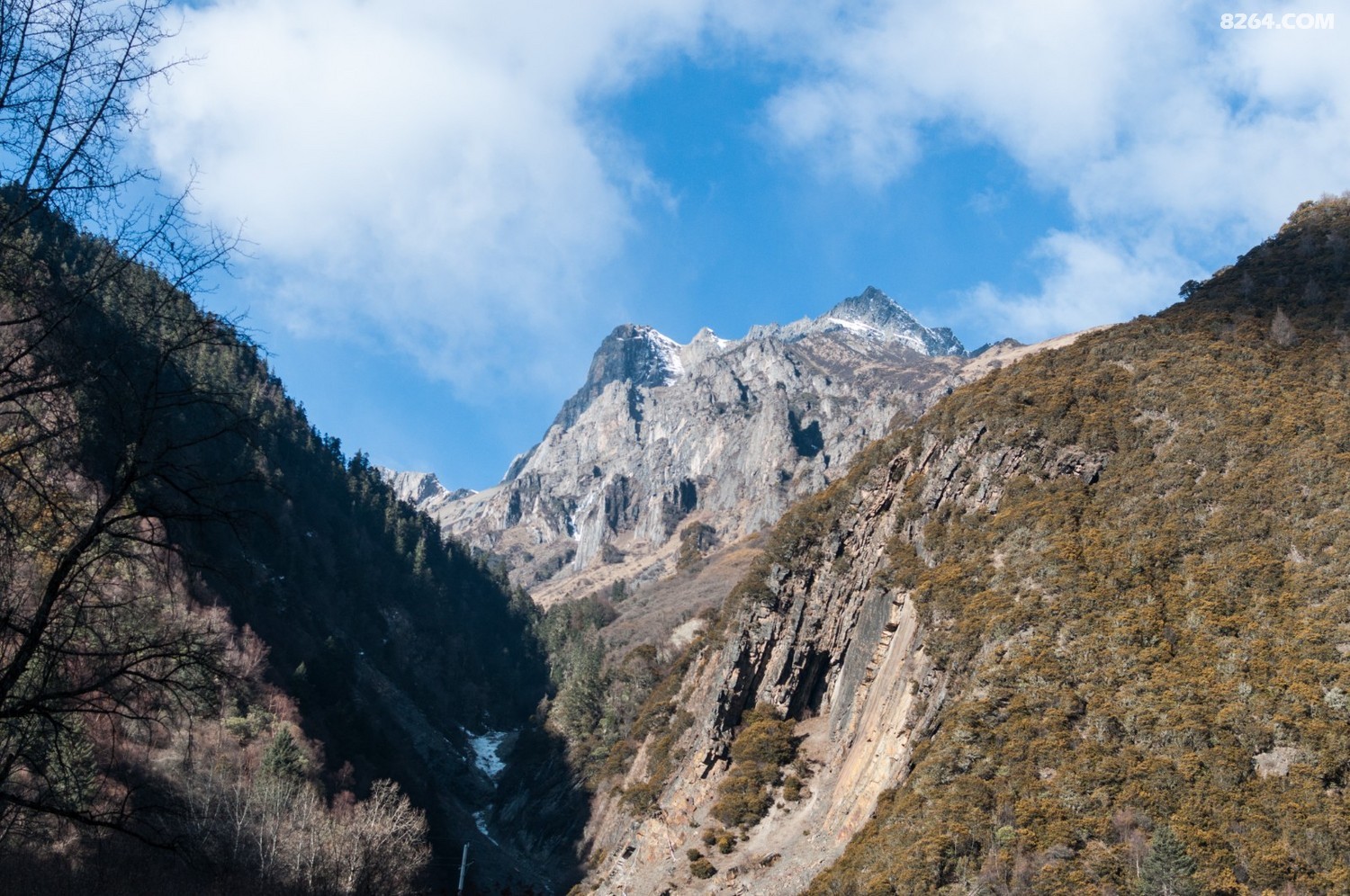 DSC_0297.JPG