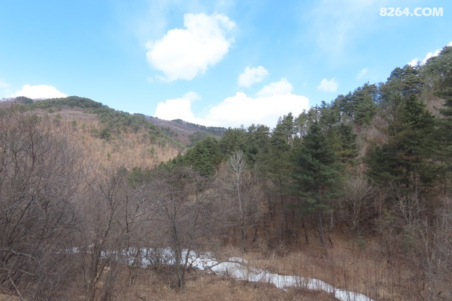 IMG_7558.jpg