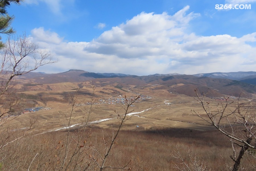 IMG_7502.jpg