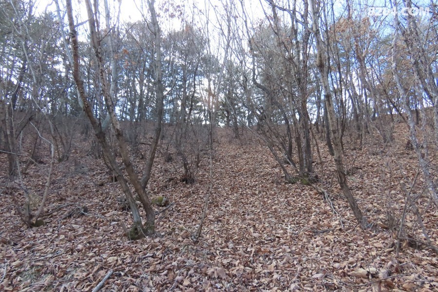 IMG_7509.jpg