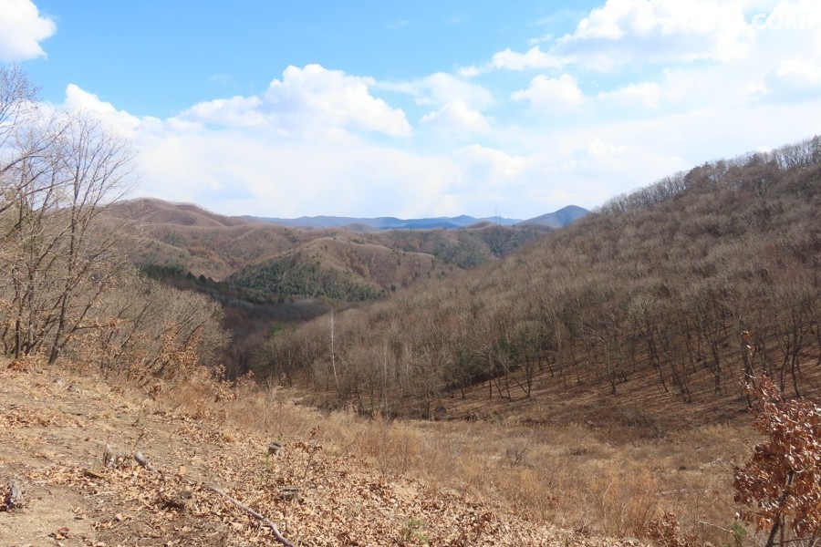 IMG_7596.jpg
