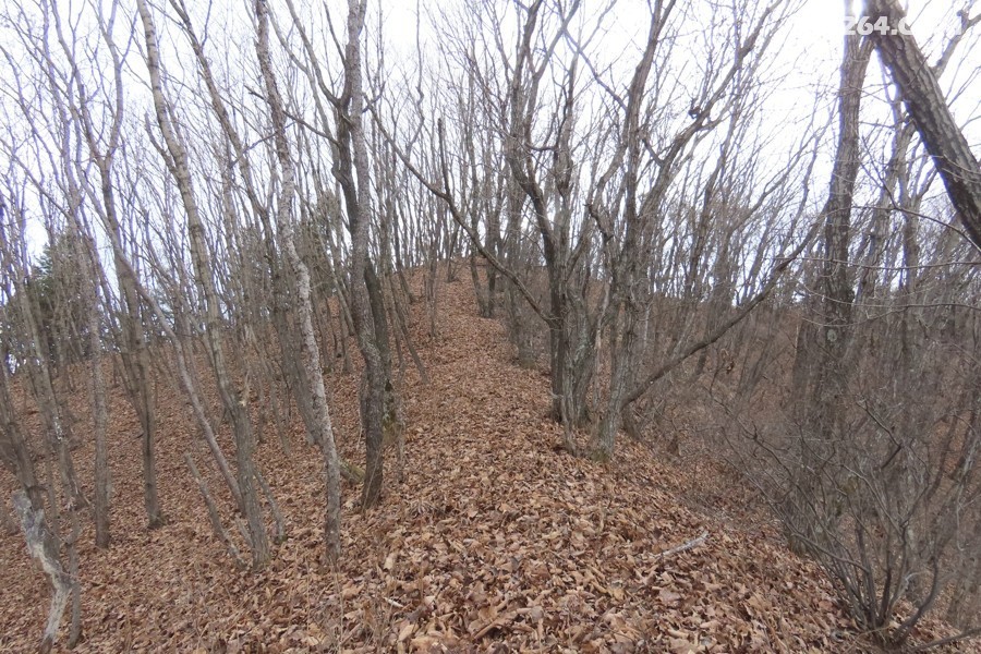 IMG_7611.jpg