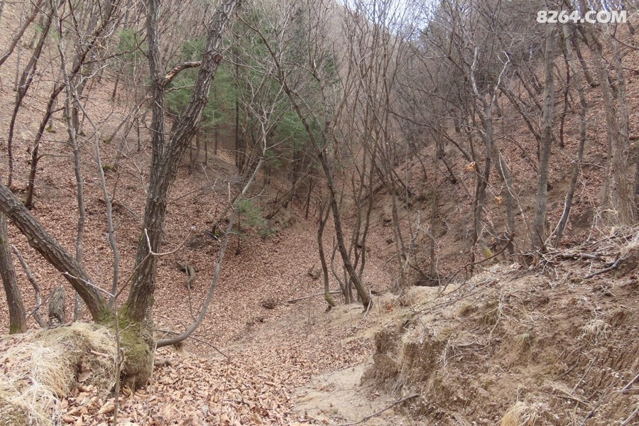 IMG_7615.jpg