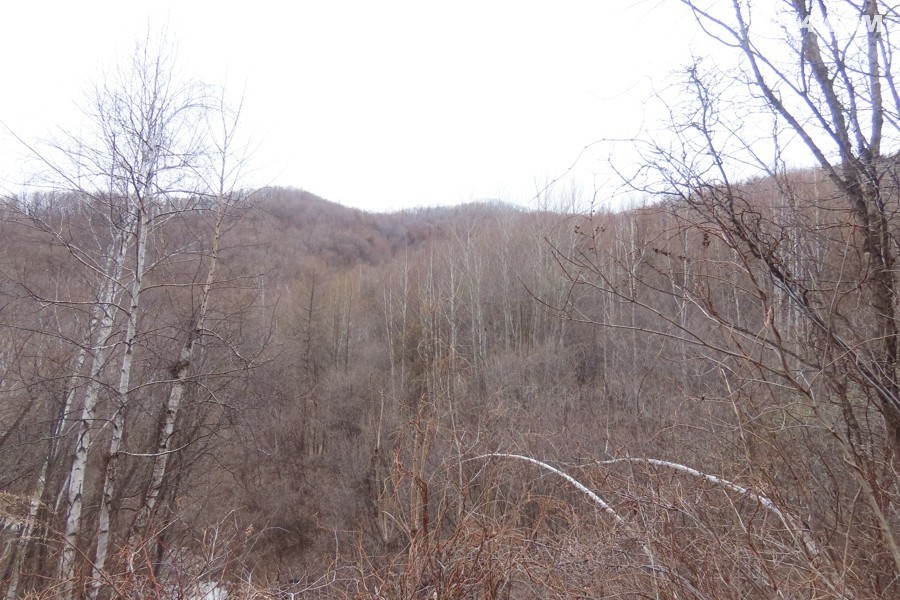 IMG_8637.jpg