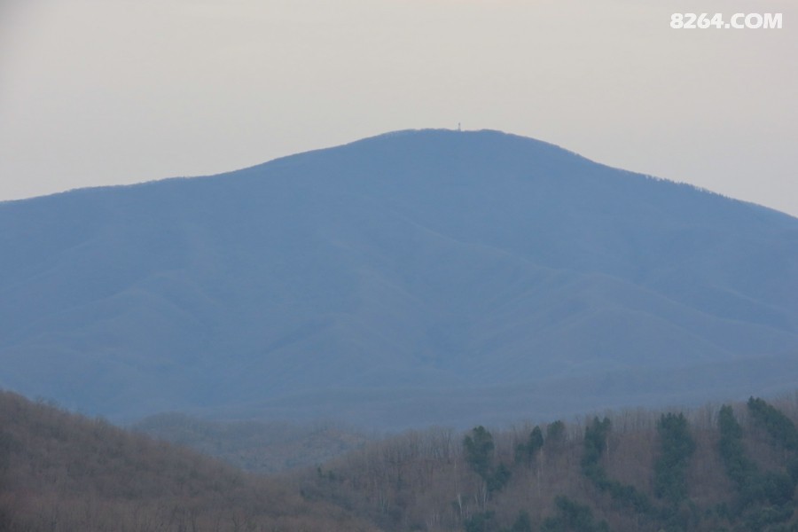 IMG_8650.jpg