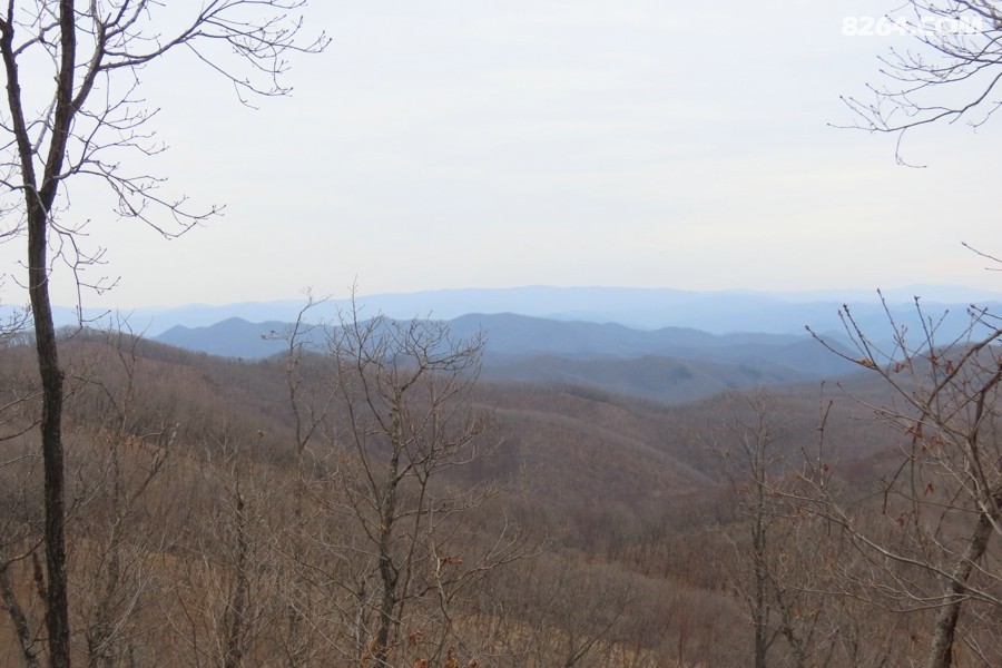 IMG_8672.jpg