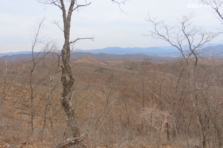 IMG_8686.jpg