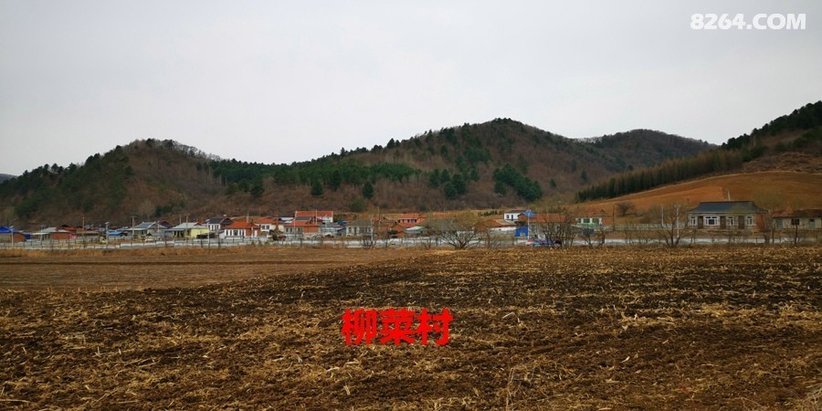 IMG_20250419_075116.jpg