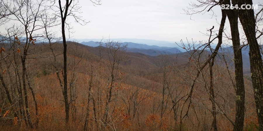 IMG_20250419_101540.jpg