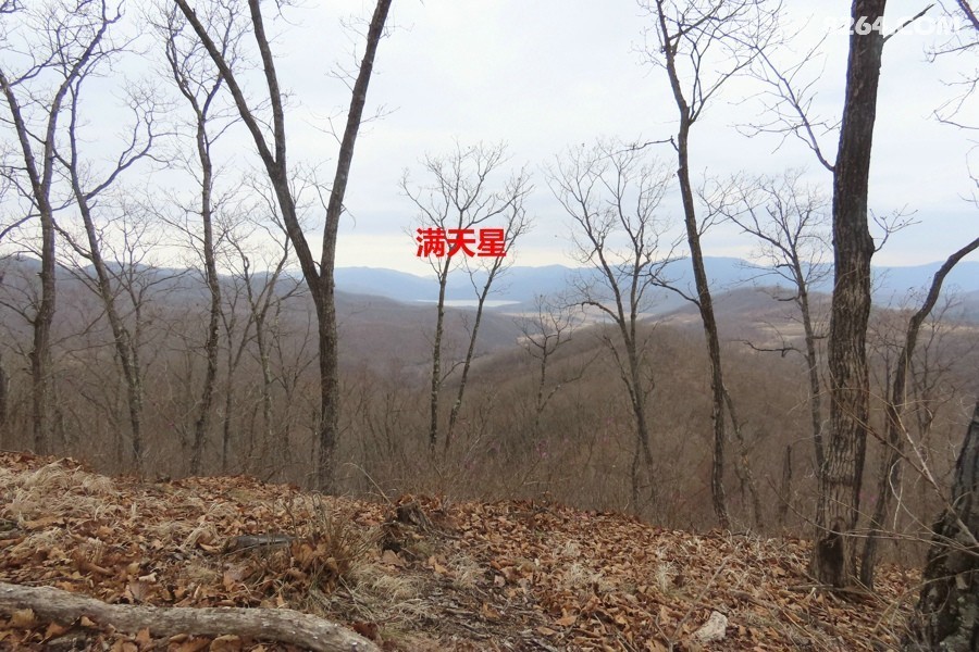 IMG_8736.jpg
