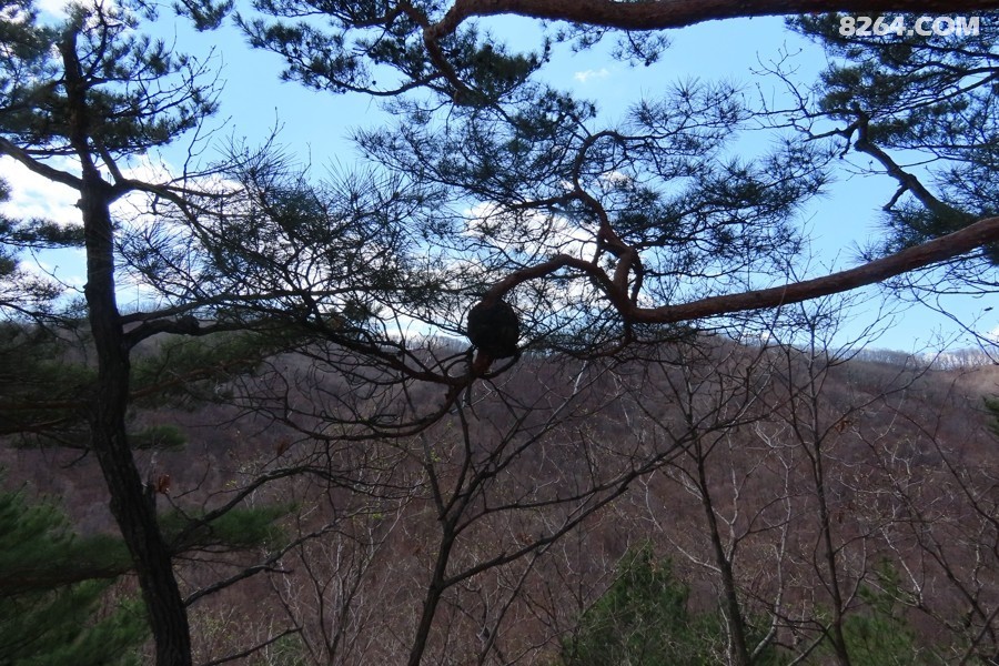 IMG_9557.jpg