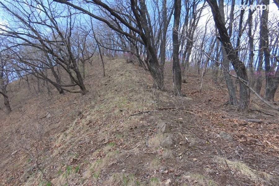 IMG_9568.jpg