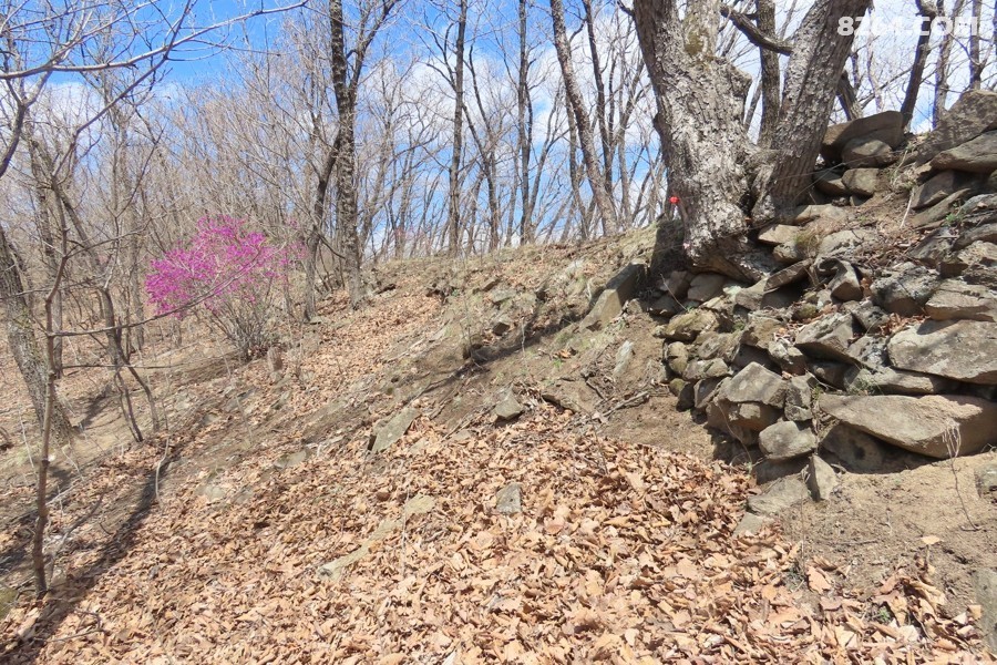 IMG_9591.jpg