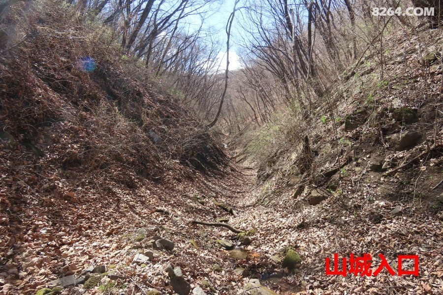 IMG_9644.jpg