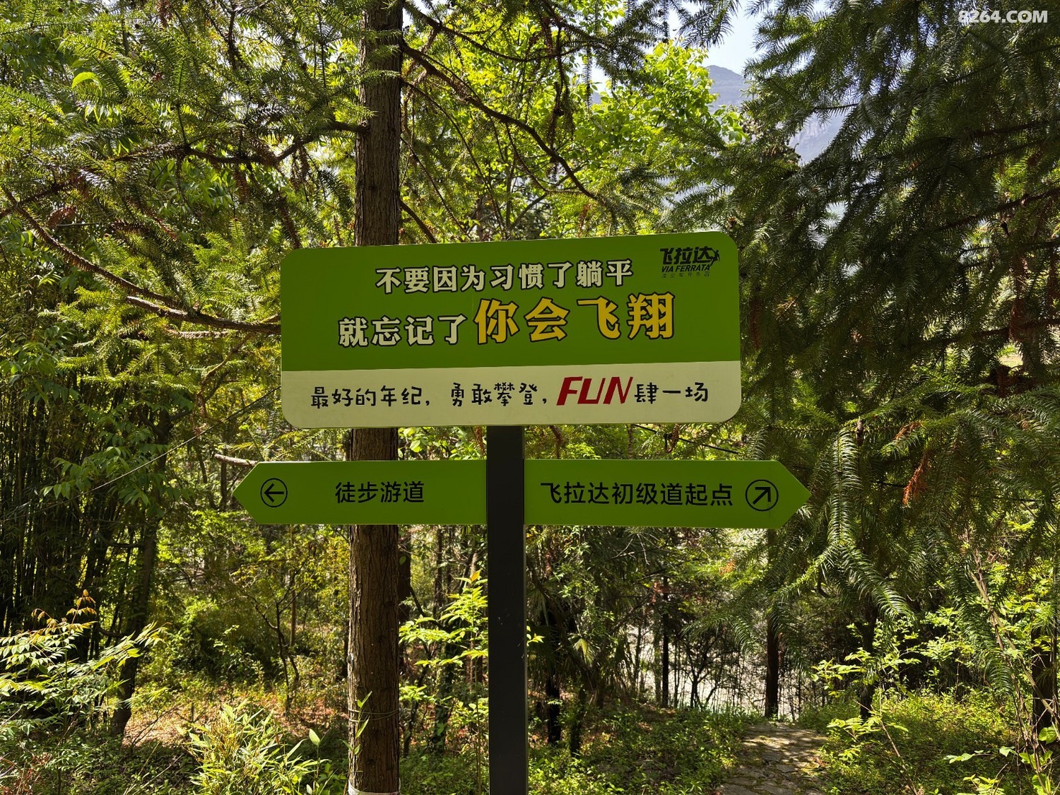 IMG_3120.JPG