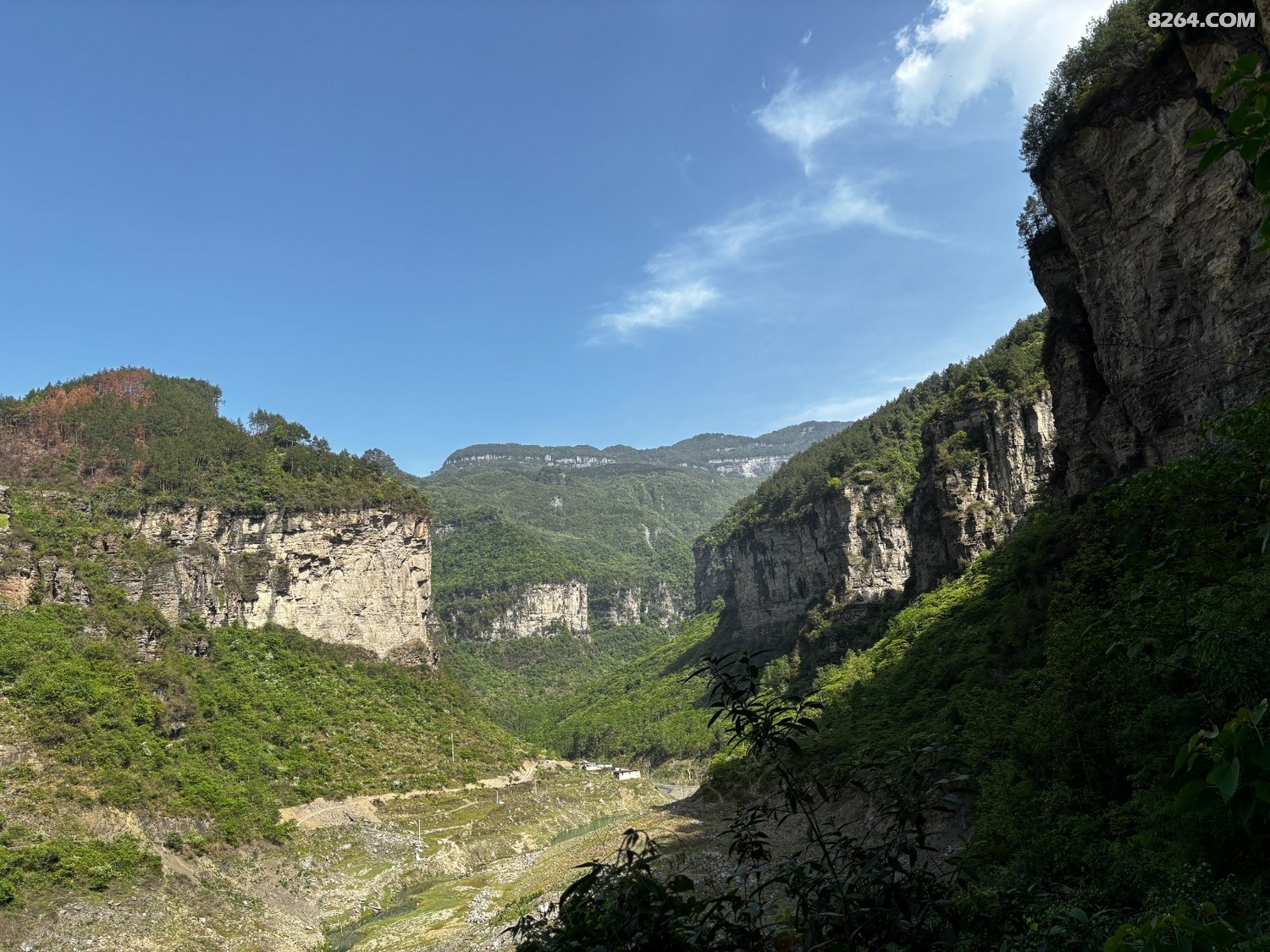 IMG_3208.JPG