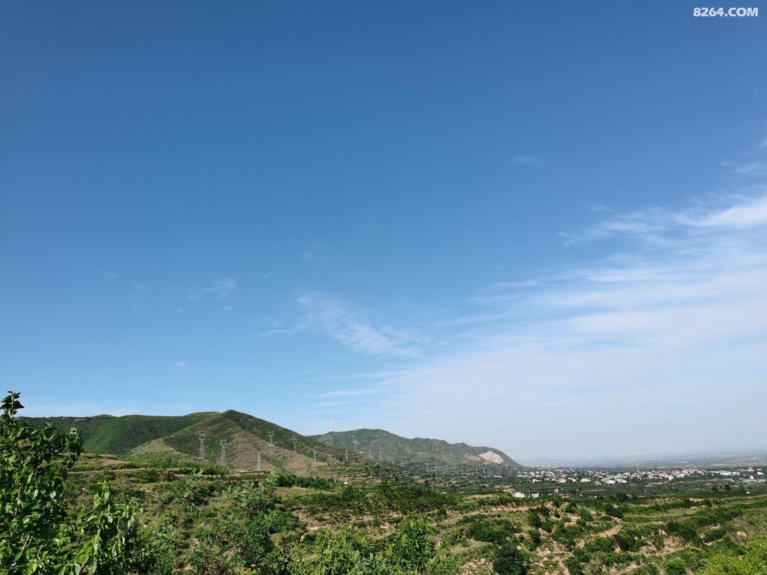 IMG_20240609_165538.jpg