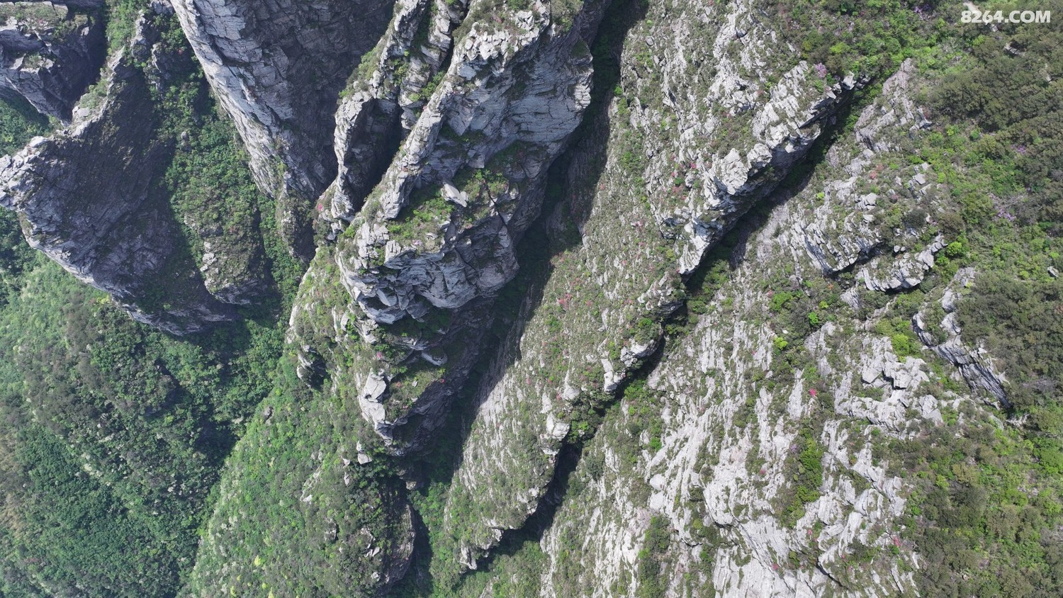 DJI_20250502131606_0406_D.JPG