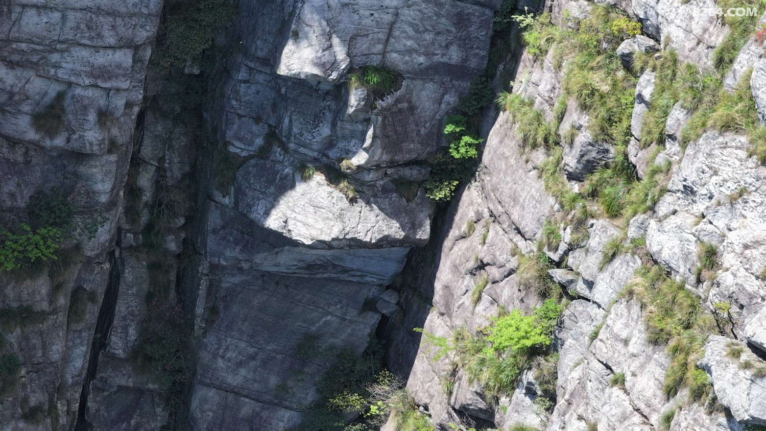 DJI_20250502132441_0437_D.JPG