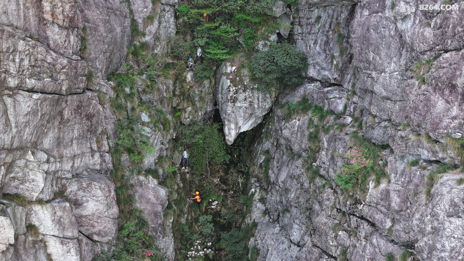 DJI_20250502132843_0475_D.JPG