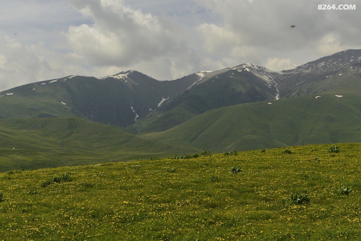 ��Խ���⣬���˰��ﻭ����ʥȪ���λ�֮�� (2).JPG